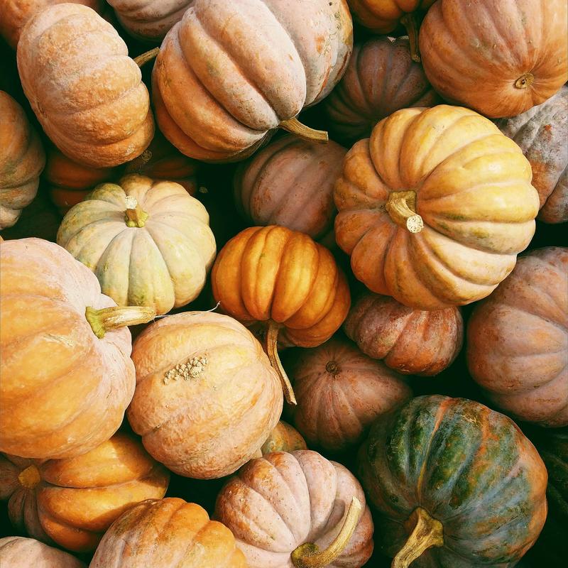 October pumpkins